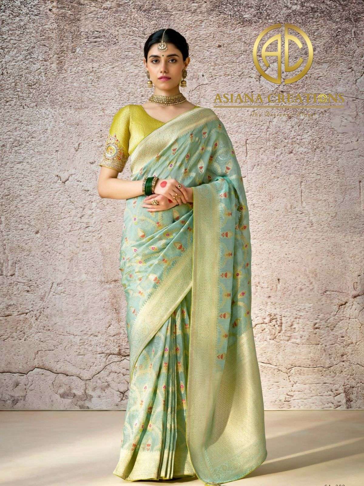 Banarasi Silk Traditional Wedding Saree with Blouse DS290